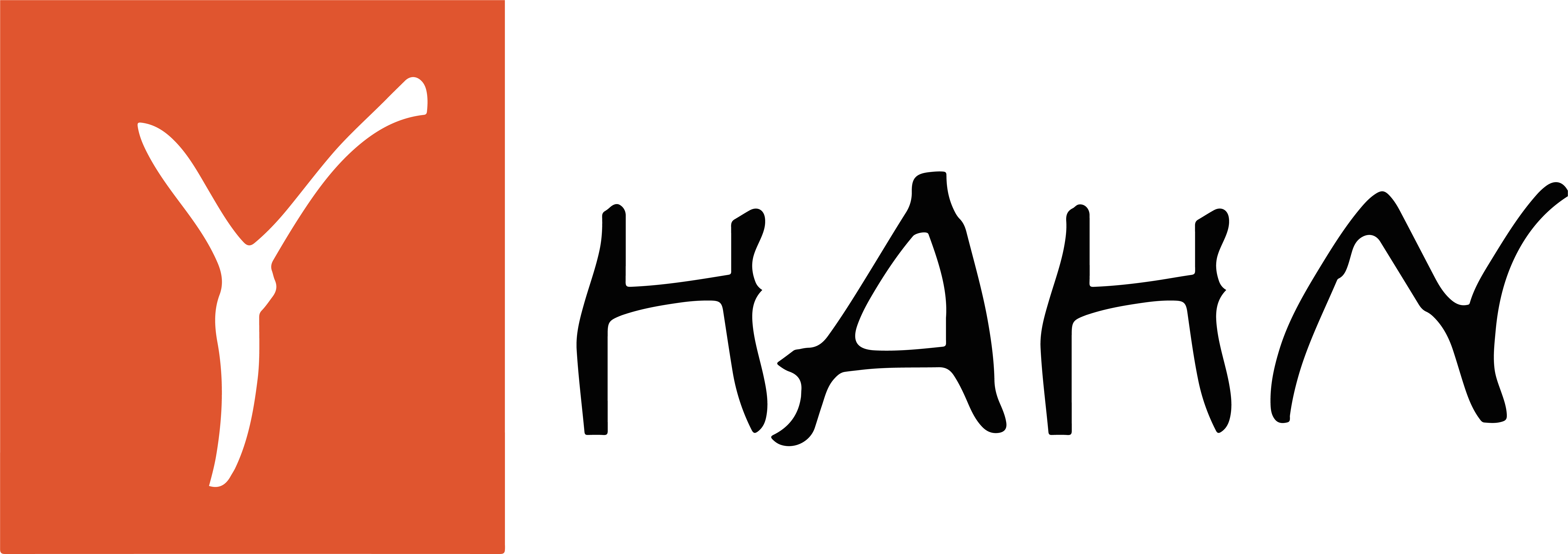 Y Hahn